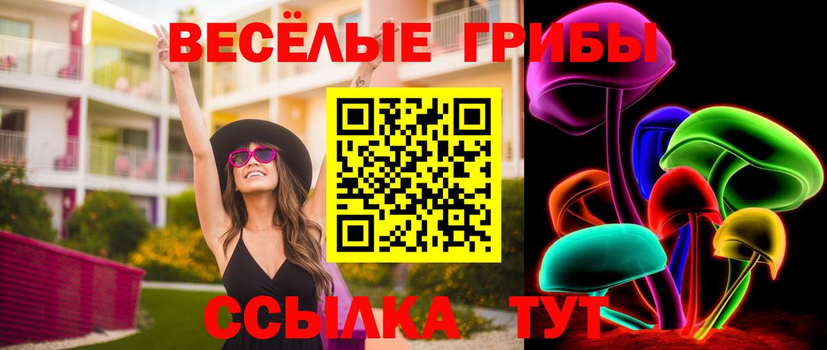 Галлюциногенные грибы MAGIC MUSHROOMS  Псилоцибиновые грибы Psilocybine cubensis  Моршанск  Вход с VPN 