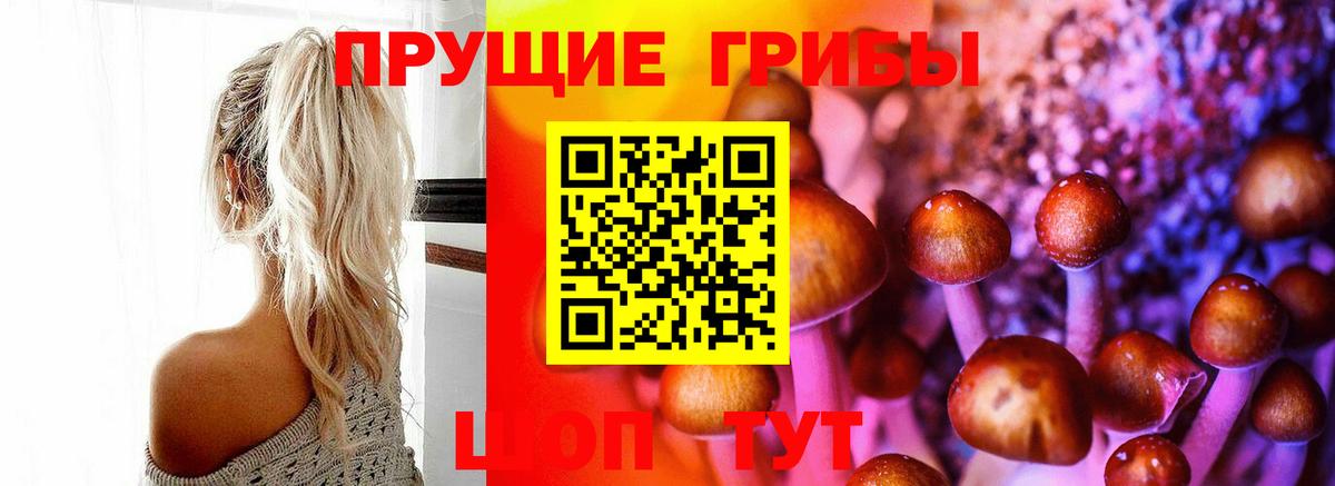 Галлюциногенные грибы Magic Shrooms Моршанск